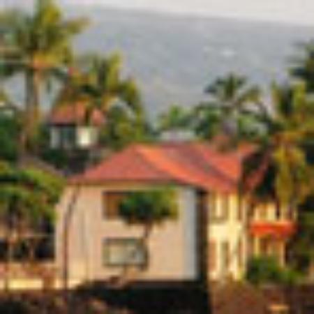 Falafel Mohammad Ali